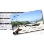 Plastik - Taschen - Kalender 2024 verschiedenen Ostsee-Motiv